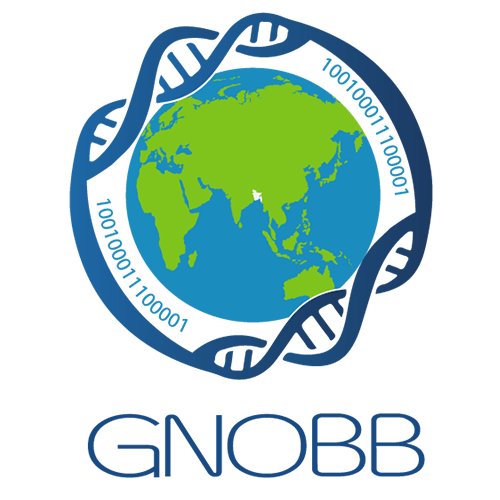 GNOBB logo